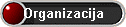 Organizacija