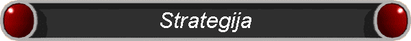 Strategija